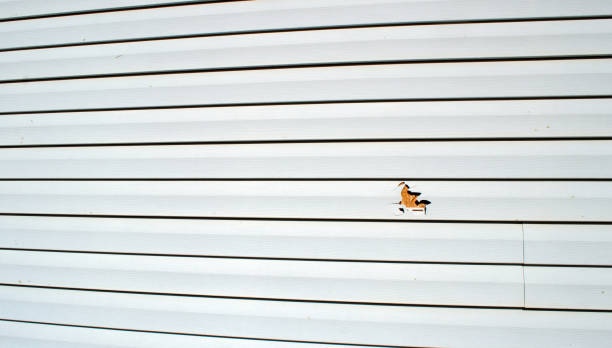 Best Engineered Wood Siding  in New Glarus, WI